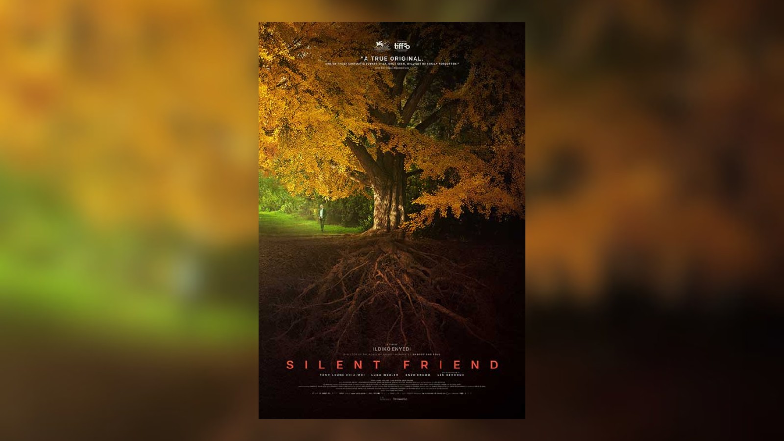 Silent Friend by Ildikó Enyedi